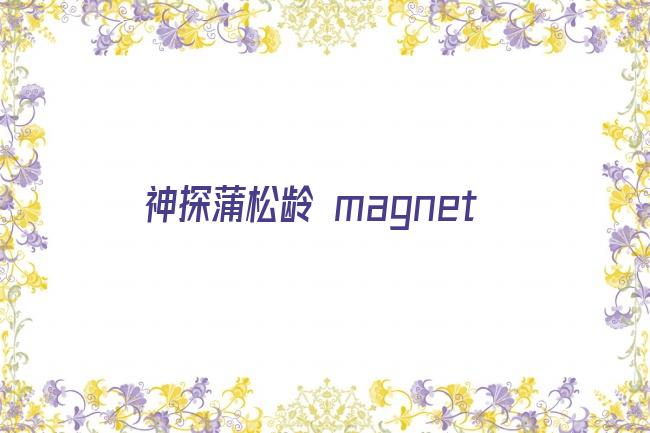 神探蒲松龄 magnet剧照